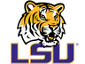 lsu - Copy