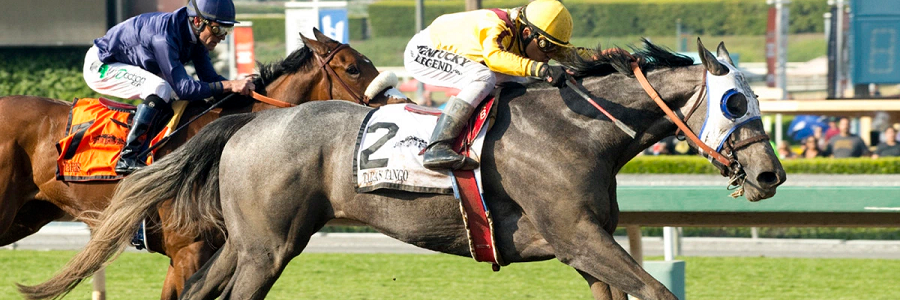 2016 Preakness Stakes Exotic Betting Picks
