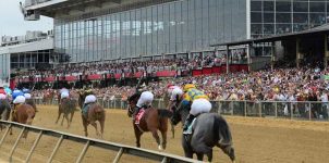 2016 Preakness Top Winning Picks