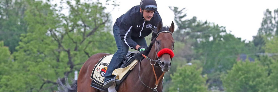 2016 Belmont Stakes Early Odds and Predictions