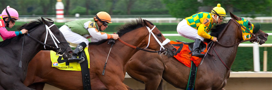 How To Bet An Exacta In Horse Racing