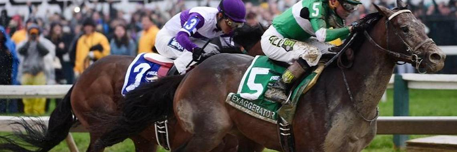 2016 Belmont Stakes Win, Place, Show Betting Picks