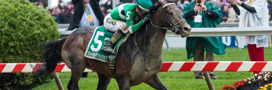 2016 Belmont Stakes Win, Place & Show Betting Picks
