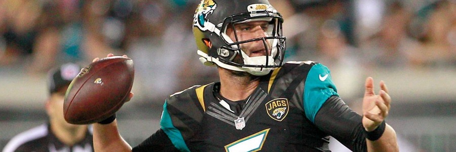 The Jacksonville Jaguars are small NFL odds favorites to win the 2017 season.