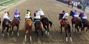 How To Handicap the 2017 Preakness Stakes