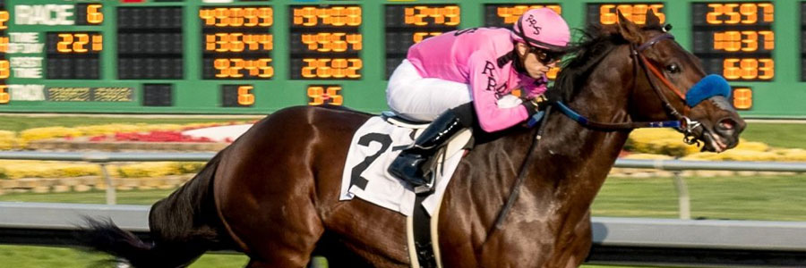 2019 Preakness Stakes Betting Favorites