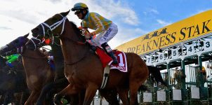2019 Preakness Stakes Props