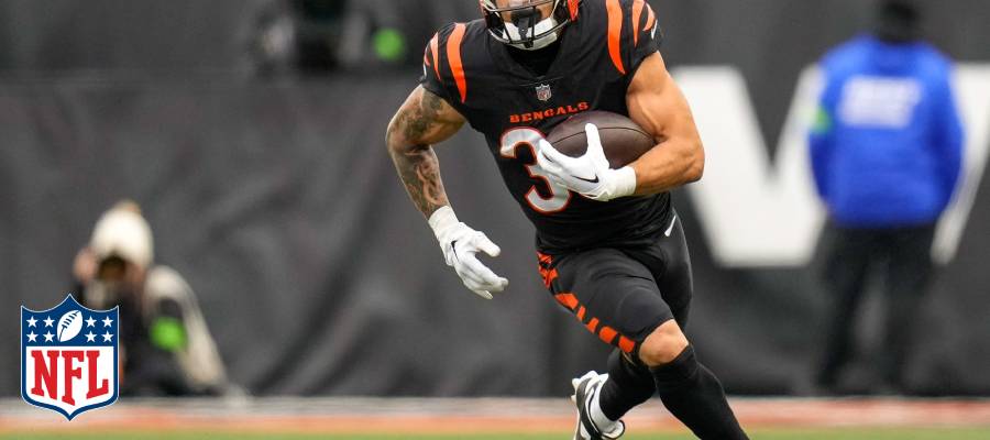 NFL Betting Picks for the 2024 AFC North Division