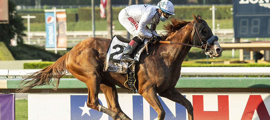 2020 Breeders Cup Classic Odds Update Nov. 5th Edition