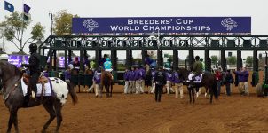 2020 Breeders Cup Horse Racing Surprises for Nov. 6th