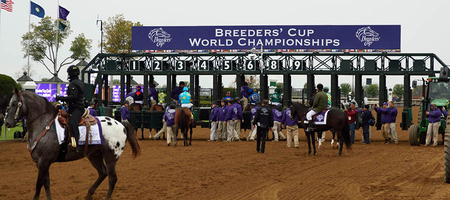 2020 Breeders Cup Horse Racing Surprises for Nov. 6th