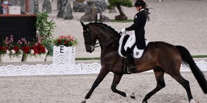 2020 Tokyo Olympics: Betting Guide for Equestrian Sports