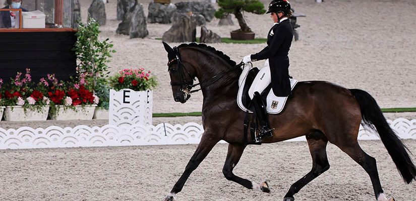 2020 Tokyo Olympics: Betting Guide for Equestrian Sports