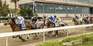 2020 Top Stakes Races for the Week Dec. 7th Edition