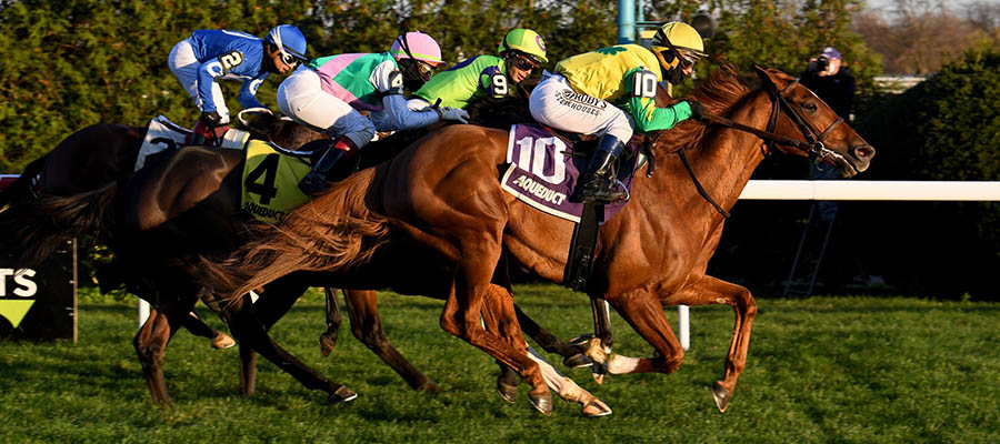 2020 Top Stakes Races for the Week Nov. 16th Edition