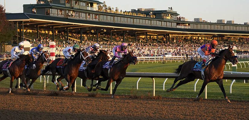 2020 Top Stakes Races for the Week Nov. 23rd Edition
