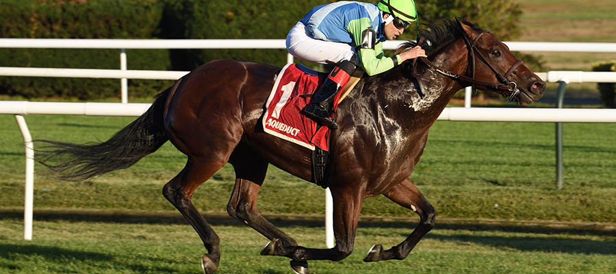 2020 Top Stakes Races for the Week Nov. 9th Edition