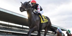 2020 Top Stakes Races for the Week Oct. 19th Edition