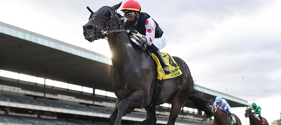 2020 Top Stakes Races for the Week Oct. 19th Edition