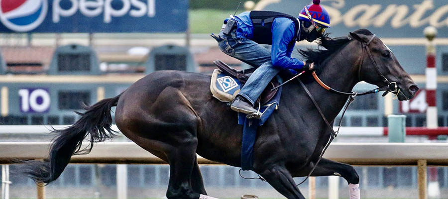 2021 Belmont Stakes Horse Racing Betting Odds & Picks