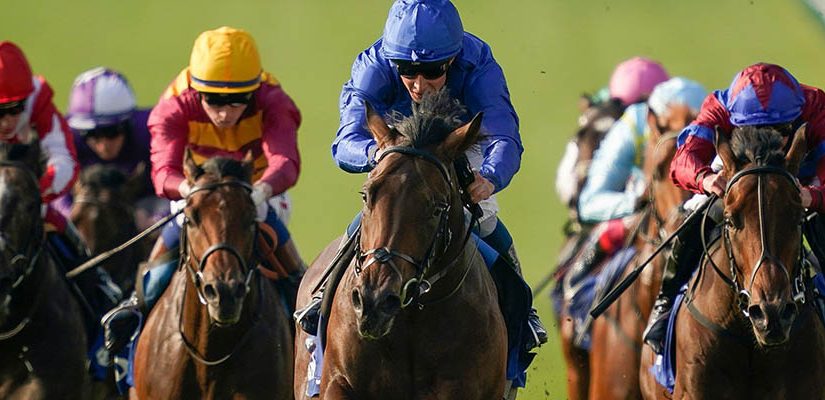 2021 Breeders' Cup Betting Update: Letruska Dominates in Final BC Prep
