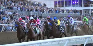 2021 Breeders' Cup Betting Update: Seven Grade Races to Wager On