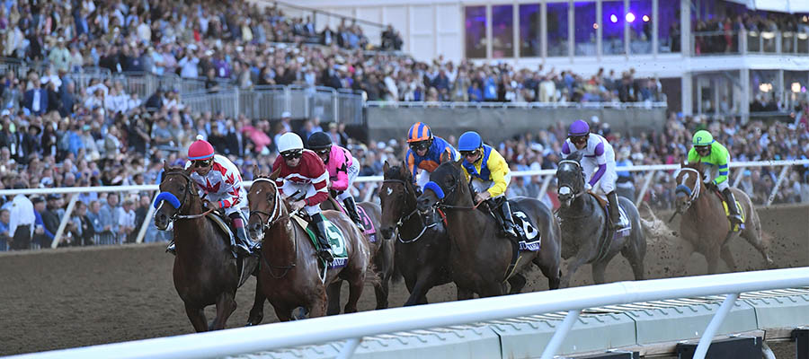 2021 Breeders' Cup Betting Update: Seven Grade Races to Wager On