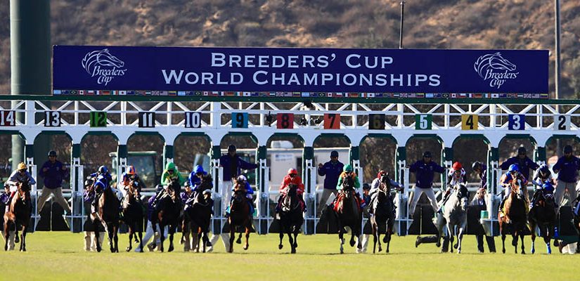 2021 Breeders' Cup Betting Update: With Two Weeks Before the Classic, Knicks Go the Solid Pick