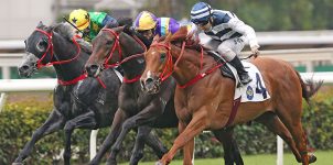 2021 Hong Kong Cup Horse Racing Betting Odds & Picks