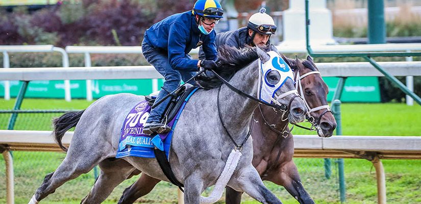 2021 Kentucky Derby: Essential Quality Clear Favorite to Win it All