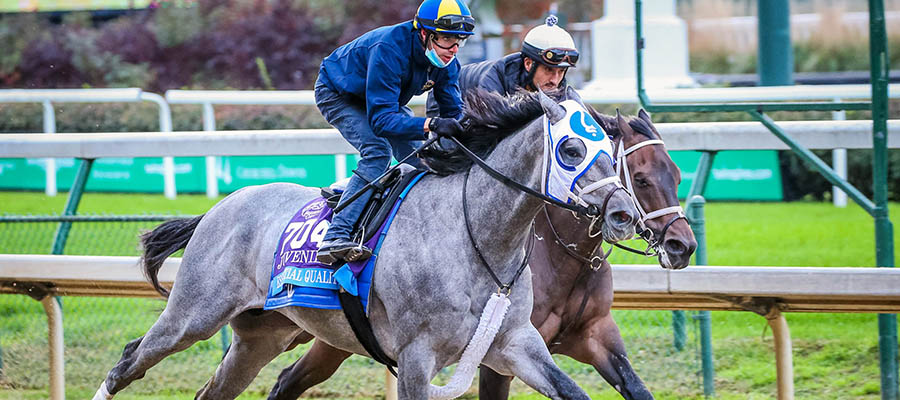 2021 Kentucky Derby: Essential Quality Clear Favorite to Win it All