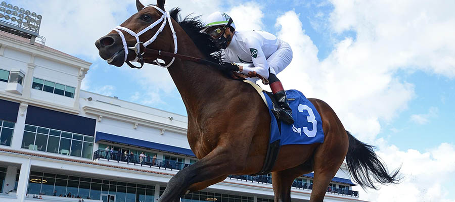 2021 Kentucky Derby: Prime Factor Looking to Rise Up