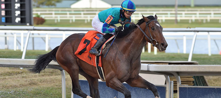 2021 Kentucky Derby: Top Contenders Getting Ready For Prep Race