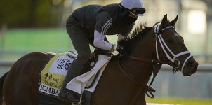 2021 Preakness Stakes Horse Racing Betting Odds & Picks