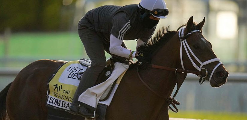 2021 Preakness Stakes Horse Racing Betting Odds & Picks