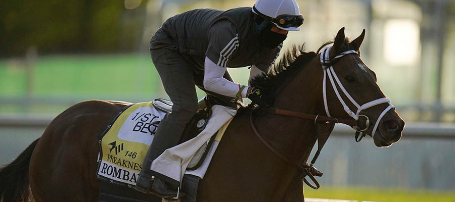 2021 Preakness Stakes Horse Racing Betting Odds & Picks