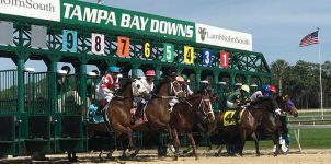 2021 Top Stakes Races for the Week Feb. 1st Edition