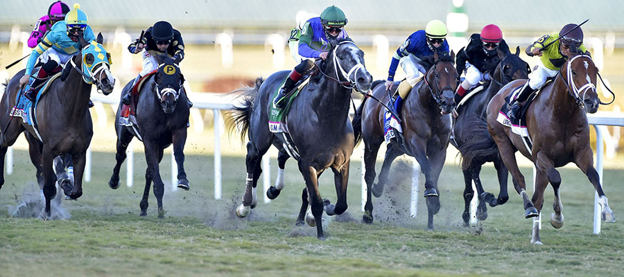 2021 Top Stakes Races for the Week Feb. 22nd Edition