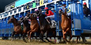 2021 Top Stakes Races for the Week Feb. 8th Edition