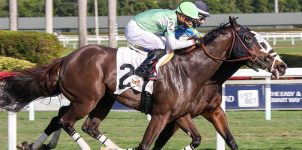 2021 Top Stakes Races for the Week Jan. 11th Edition