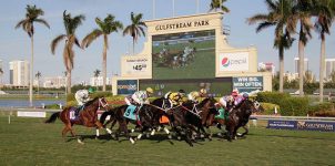 2021 Top Stakes Races for the Week Jan. 25th Edition