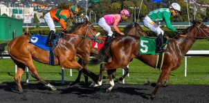2021 Top Stakes Races for the Week March 8th Edition