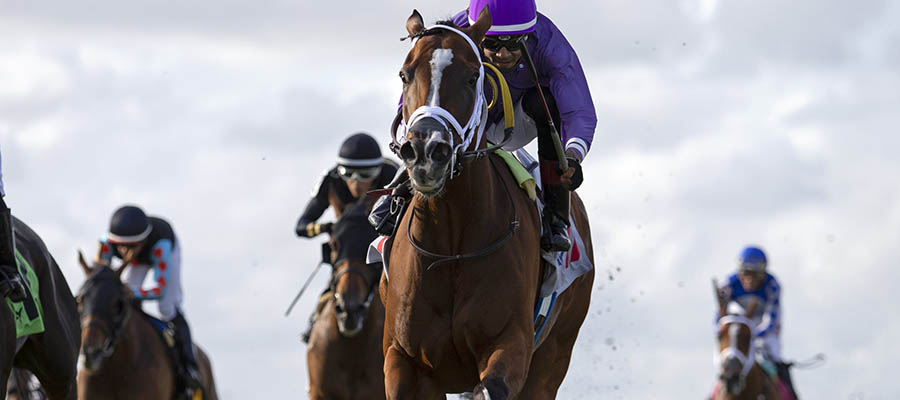 2021 Top Stakes Races to Bet On From Dec. 18th to 19th