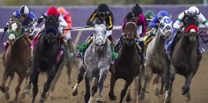 2021 Top Stakes Races to Bet On From Nov. 13th to 14th