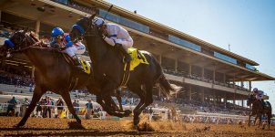 2021 Top Stakes Races to Bet On From Nov. 26th to 28th