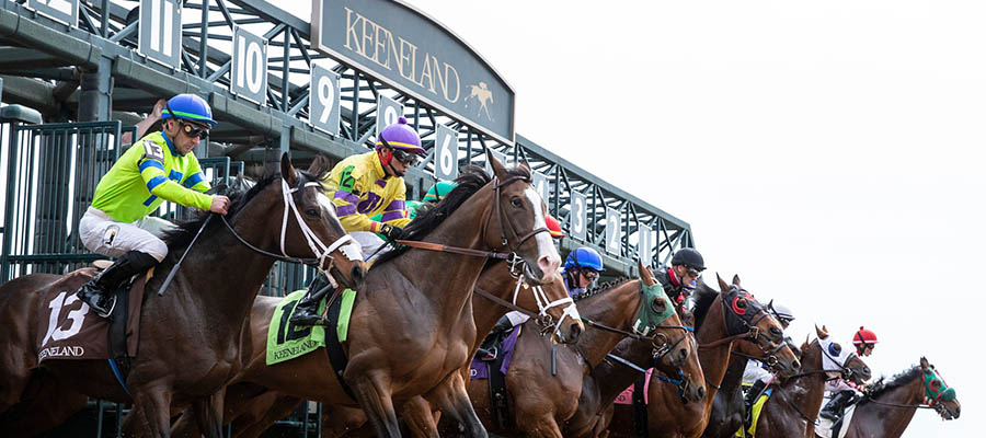 2021 Top Stakes Races to Bet On From Oct. 13th to Oct. 17th