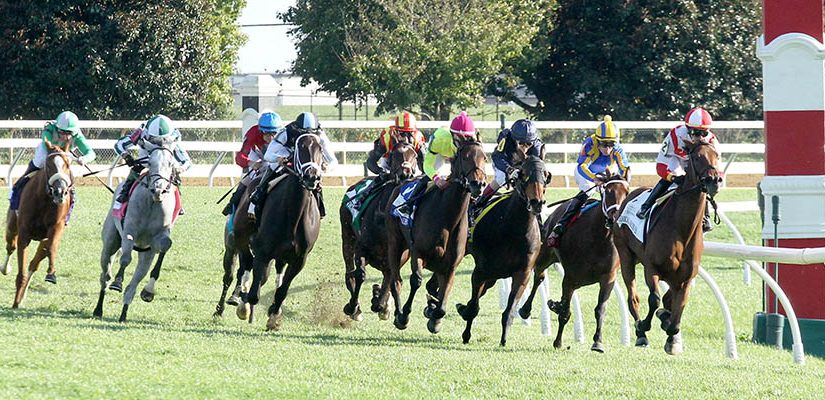 2021 Top Stakes Races to Bet On From Oct. 22nd to Oct. 24th