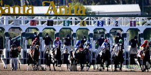 2021 Top Stakes Races to Bet On From Oct. 29th to 31st