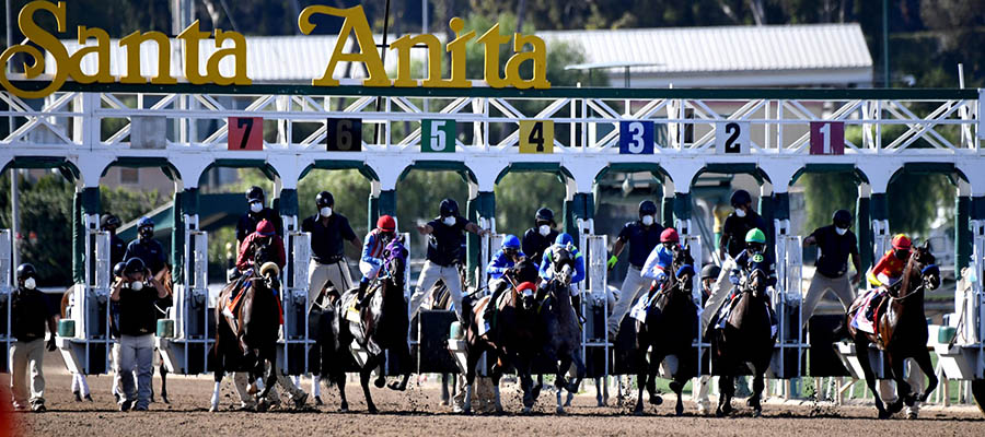 2021 Top Stakes Races to Bet On From Oct. 29th to 31st