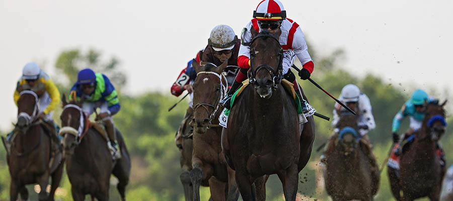 2022 Belmont Stakes Betting Odds and Analysis for the Current Entry Field